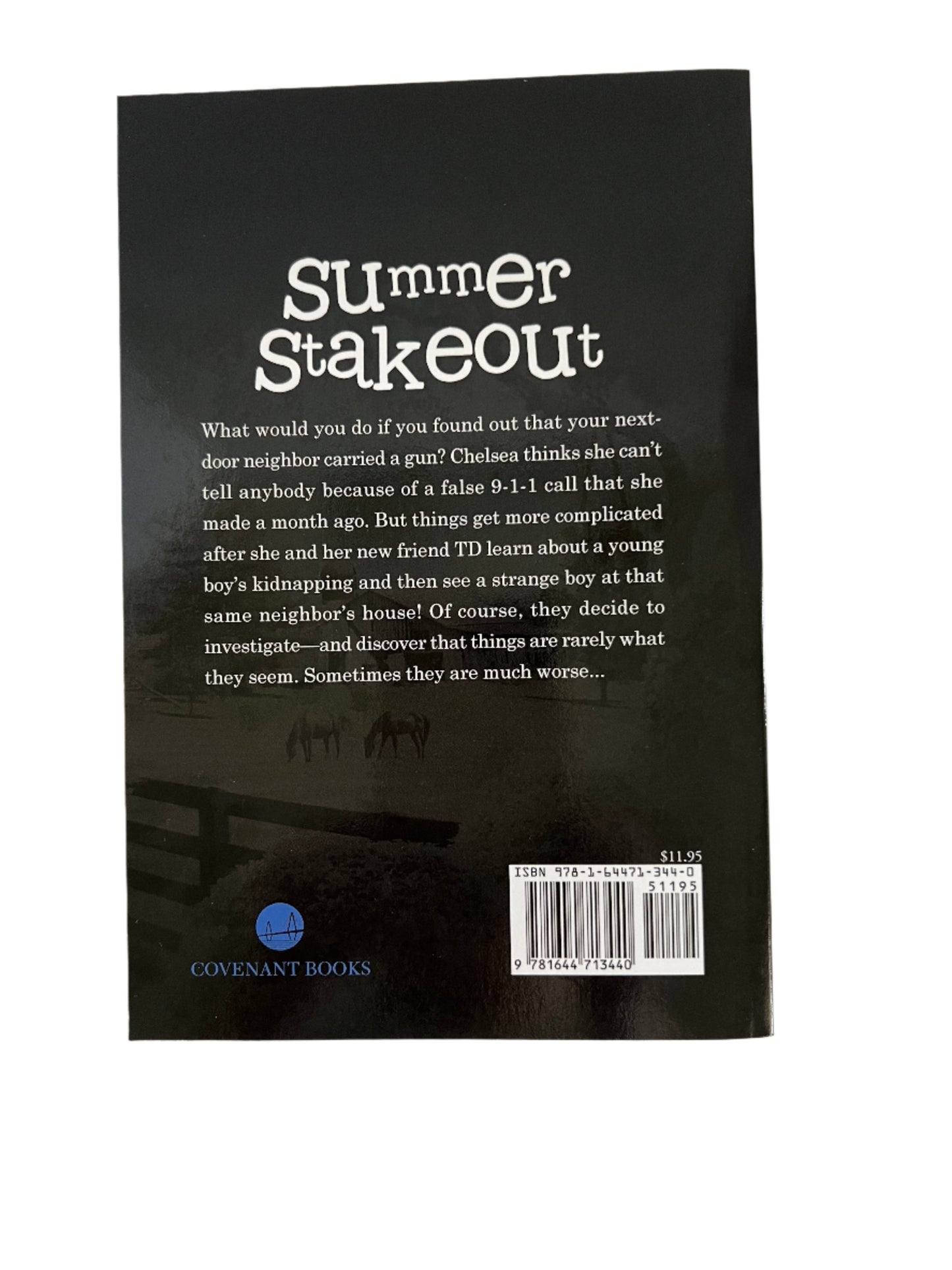 Summer stakeout book